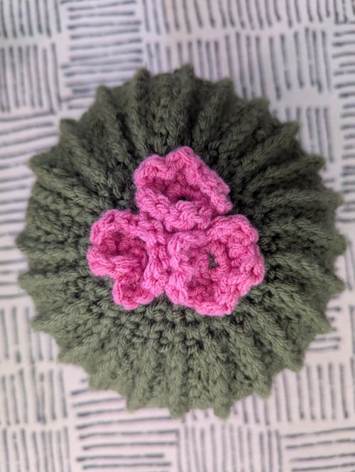 An Actual Crocheted Cactus