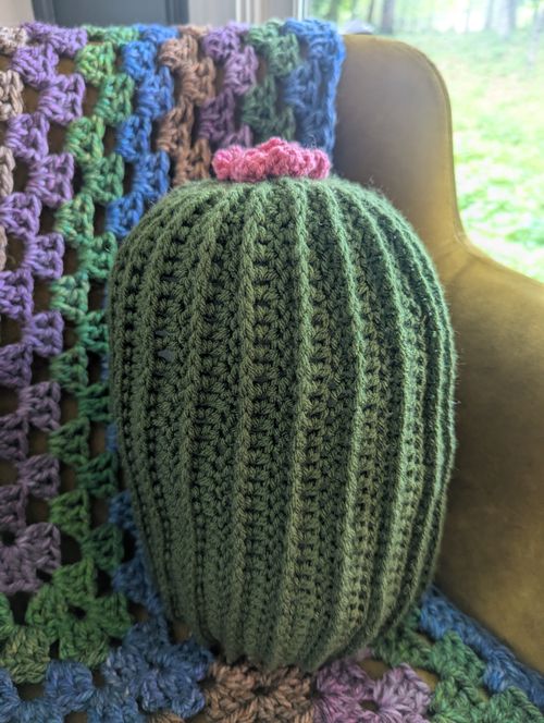 An Actual Crocheted Cactus